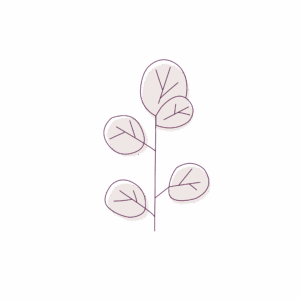 Eucalyptus