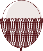 Lychee