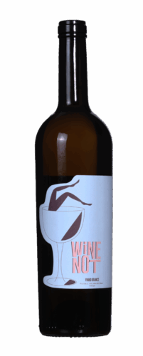 Vinho Blanco - 1 fles